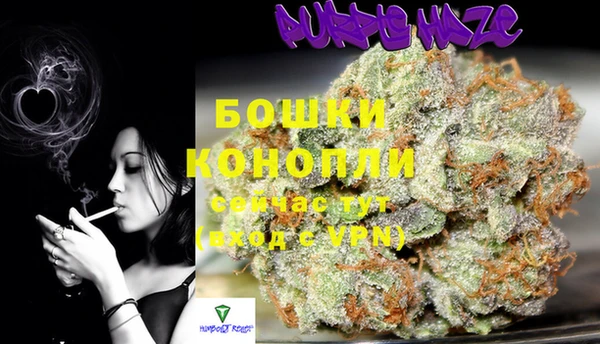 гидра Баксан