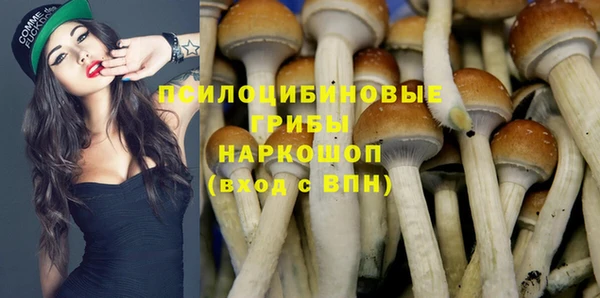гидра Баксан
